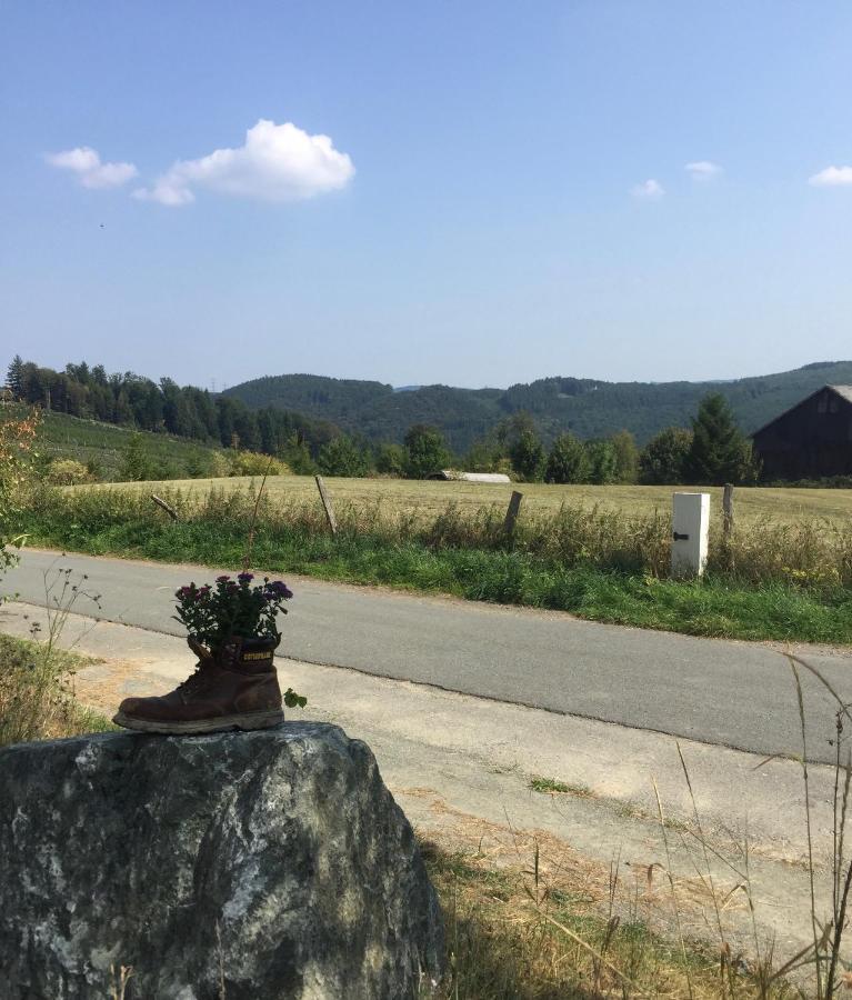 Steigerhaus Sauerland Daire Bestwig Dış mekan fotoğraf